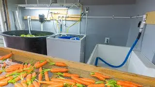 Efficient Wash Pack Station - Market Garden