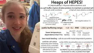 HEPES - the when, why, & how of using this pH buffer