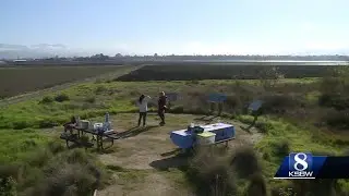 Volunteers work to return Carr Lake to native habitat