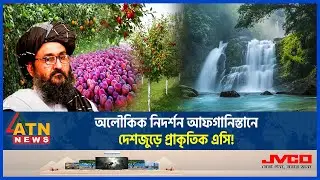 যেভাবে গরম নিয়ন্ত্রণ করে প্রসংসায় ভাসছে আফগান সরকার | Afghanistan Weather। Green Area | Ashraf Ghani