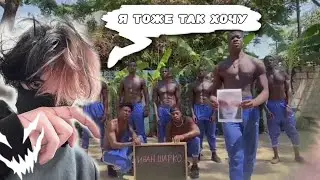 курсед нашел идеальное поздравление / zxcursed
