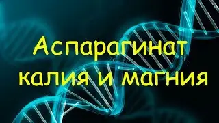 Калия и магния аспаргинат (Аспаркам) | Эффекты, побочки, курс, дозировки
