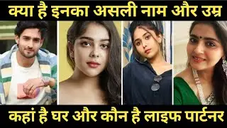 aaina serial cast real name Real age real life partner ||