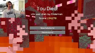 Lost to Enderman in Hardcore LMAO