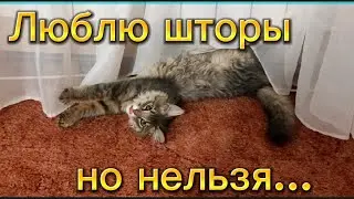 Наша любимка-кусака🥰😻💞