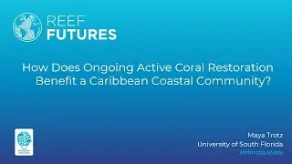 How does ongoing active coral restoration benefit a Caribbean coastal community?