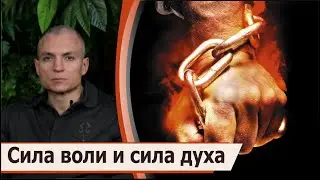 Чем отличается сила воли от силы духа?