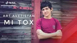 Art Avetisyan-Mi tox