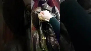 Трите нос собаке исполняет желание на 100% #желания