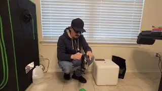 Mars Hydro TS1000 Sponsored Weed Grow Series Part 8 Great Value Led Grow Light For Beginners
