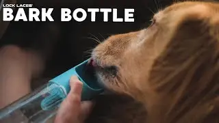 Bark Bottle Road Trip