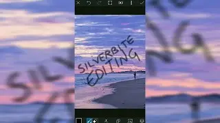 How to Add a Blur Background to Portrait/Vertical  Videos using Powerdirector on Smartphone