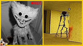 10 Creature Spaventose Catturate dalle Telecamere - Parte 4