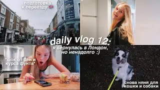 DAILY VLOG 12: возвращение в Лондон 🇬🇧 болтаем с сестрой, гуляем с собакой и готовимся к переезду!