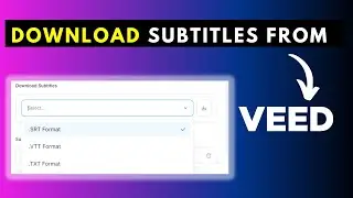 How to Quickly Download Subtitles from Veed as SRT, VTT or TXT