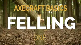 Cutting down a small tree with an axe - Axecraft Basics Part 1