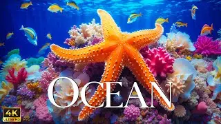 The Ocean Film 4K - Deep Relaxation and Nature Underwater - Video Ultra HD