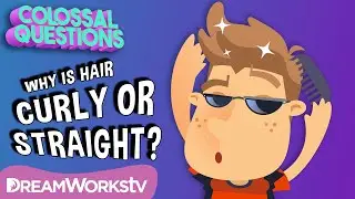 What Makes Hair Curly or Straight? | COLOSSAL QUESTIONS