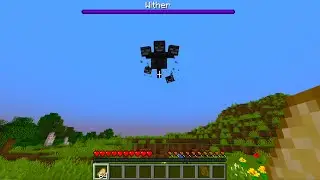 I Beat the Wither with a Porkchop