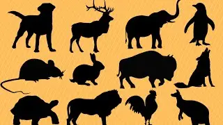 "Guess the Animals by their Silhouettes Challenge! 🐾🔍