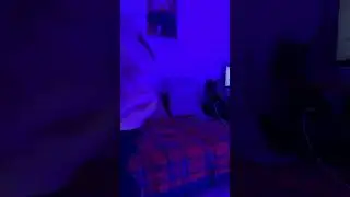 |76 серия| Ученик по обмену 💀