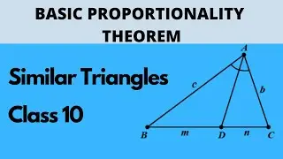 Similar Triangles | Problem Solving | Basic Proportionality Theorem | Class 10 | Letstute