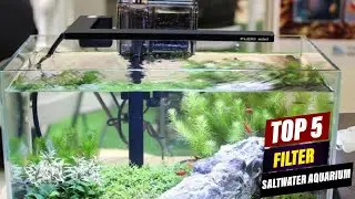 Best Saltwater Aquarium Filters: A Comprehensive Guide