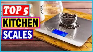 Top 5 Best Kitchen Scales in 2023