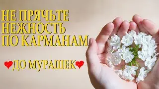 Очень душевный стих "Не прячьте нежность по карманам" Лариса Шешукова Читает Леонид Юдин