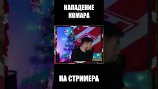 НАПАДЕНИЕ КОМАРА НА СТРИМЕРА #Shorts