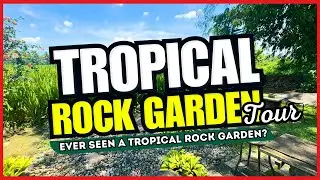 😱 WHAT?! Ever Seen a TROPICAL Rock Garden? 🌴🪨 GARDEN TOUR