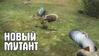 Таких МУТАНТОВ вы не видели. Край Изумрудной Зари #2 S.T.A.L.K.E.R.