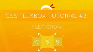 CSS Flexbox Tutorial #3 - Flex Grow