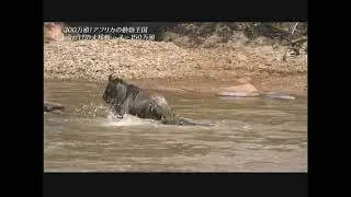 Serengeti national Park Drone /camera #serengeti  @kakamussa