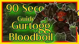 A 90 Second guide to killing Gurtogg Bloodboil inside the Black Temple