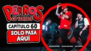 PERROS CRIOLLOS - SOLO PASA AQUÍ, CAP. 60