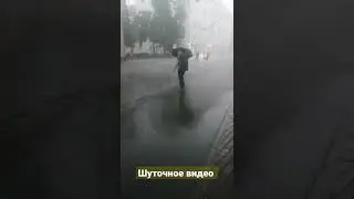 Видео для поднятия настроения