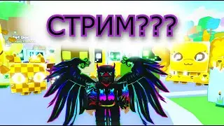 Стрим по  Pet Simulator 99??? #shorts