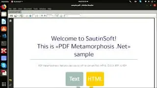 PDF Metamorphosis.Net  - how to launch using Linux. RTF to PDF