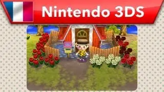 Animal Crossing Direct (Nintendo 3DS)