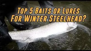 TOP 5 Baits Or Lures For Catching Winter Steelhead