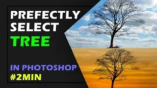 Perfectly Selection of Tree in Photoshop [Easy Method]