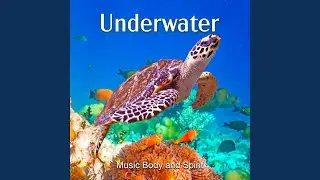 Underwater World