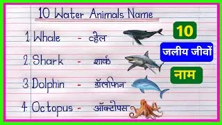 10 Water Animals Name in English and Hindi | जलीय जीवों का नाम | Water Animals Name in English |