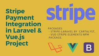 Stripe Payment Integration in Laravel & Vue.js Project