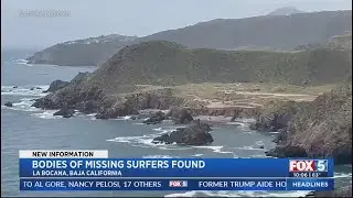 Bodies of missing surfers found