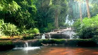 Thailand Waterfalls in the Mountain Forest. White Noise Waterfall, Natural Sounds for Relaxing Sleep