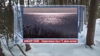 What is the 'January thaw' and why does it happen?