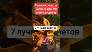 Топ 7 лучших советов, которые должен знать каждый.