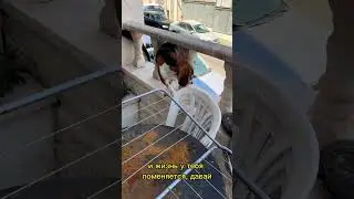 Когда понимаешь, что в жизни пора что-то менять